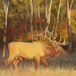 Corrina Johnson - Arizona Fine Art Expo