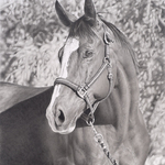 howard halbert - CHEYENNE FRONTIER DAYS WESTERN ART SHOW