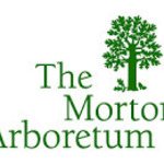 Beth Forst - Wine and Art Walk / Morton Arboretum