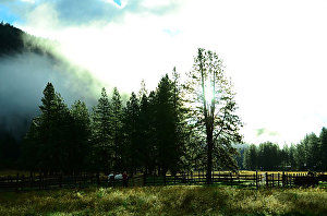 The Mazama Ranch House resort allows free horse boarding if you stay 