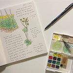 Diane DuBois Mullaly - Spring Nature Journaling