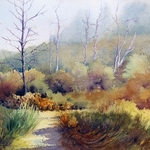 Sandra Pearce - Atmosphere in Watercolor (WSO Class)