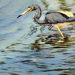 Sharon Repple - Florida Waterways & Wild Life ~ WGAA SoBo Gallery June - July 2023