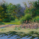 Sharon Will - The Color if Water: en Plein Air Painting in Michigan