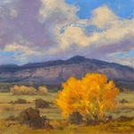 Cecilia Robertson - Paint Ghost Ranch with Bill Gallen/Cecilia Robertson assisting