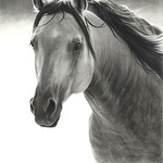 Mary Ross Buchholz - Round Up