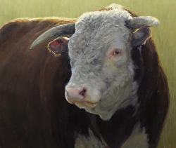 Kathleen Dunphy - Society of Animal Artists Member's Exhibition