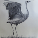 Kathleen Dunphy - Birds In Art Exhibit