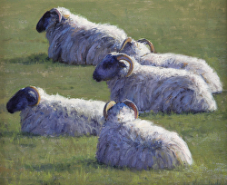 Kathleen Dunphy - Society of Animal Artists Member's Exhibition