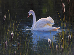 Kathleen Dunphy - Southeastern Wildlife Expo