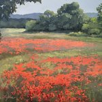 Susan Lynn - Paintings of Provence