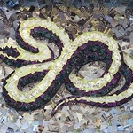 Deborah Eater - Our Natural World