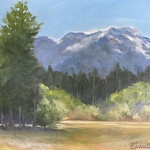 liz fennell - Guest Artist at North Tahoe Arts ARTisan Shop