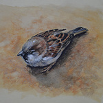 Debbie Hughbanks - Northwest Pastel Society 2021 Signature Members' Show