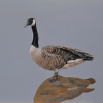 Debbie Hughbanks - Art of the Plains 2023 - APA 38th Annual Juried Exhibit & Sale