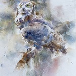Annette Smith - Arizona Watercolor Association Member's Juried Show 2022