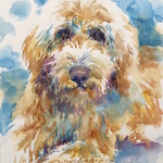 Alicia Farris - Expressive Pets and Animals in Watercolor