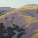 Christin Coy Fine Art - Terrain - Views of California