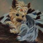 Donna Mitchell - PASTEL PAINTING CLASS
