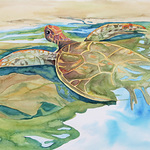 bonnie joy sedlak - 46th International Watermedia Exhibition � Watercolor Art Society, Houston (WASH)