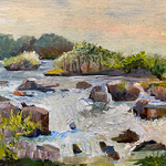 Deborah Schneider - Paint Great Falls PleinAir