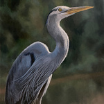 Barbara Nuss - Best of America Small Works Show, Nat'l Oil & Acrylic Painters' Soc.(NOAPS)