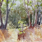 Beth Bourland - Show at Orinda Library