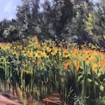 Ann Schaefer - Sun and Shade-recent outdoor and studio paintings