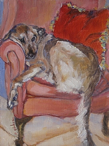 'Bob' by Patricia Huber Oil ~ 8 x 6