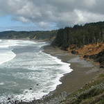 Jessica Henry Gray - Oregon Coast Plein Air