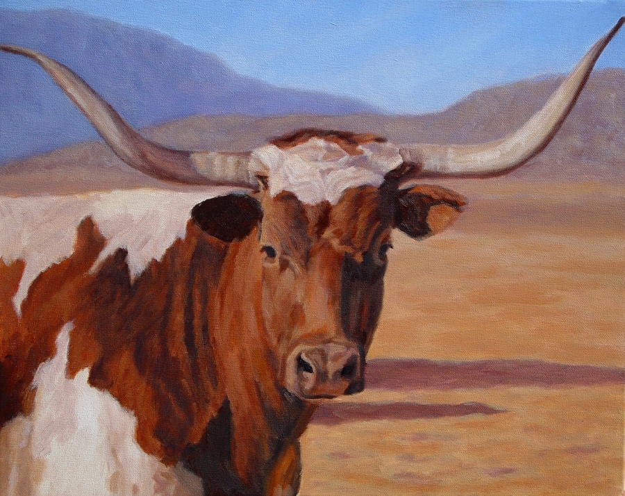 Texas longhorn pornstar