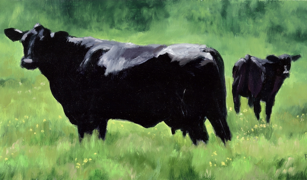 Denise Rich  Work Zoom: Black Angus Cow and Calf