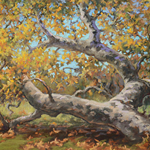 Ann Thiermann - Artistic Recipes for Drawing and Painting Trees