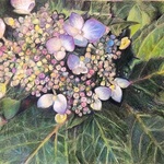 Margaret Bucholz - Colored Pencil Made Easy at DuPage Art League