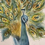 FIRST GALLERY OLATHE  - Watercolor class for Beginner-intermediate  "Peacock" Friday March 11, 7-9pm $35.