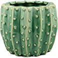 FIRST GALLERY OLATHE  - CLAY CLASS "BARREL CACTUS POT" JULY 17  SOLD OUT