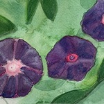 FIRST GALLERY OLATHE  - "MORNING GLORY" WATERCOLOR WITH SUSAN  FRIDAY SEPTEMBER 1  TIME: 5:00-7:30 $30.