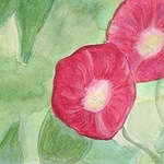FIRST GALLERY OLATHE  - "MORNING GLORY" WATERCOLOR WITH SUSAN  FRIDAY SEPTEMBER 29  TIME: 5:00-7:30  COST: $30.
