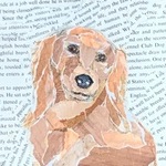 FIRST GALLERY OLATHE  - PET COLLAGE WORKSHOP WITH SUSAN Tuesday November 21 &28, 930-11:30AM $55.