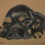 Debi Lampert-Rudman - The Art of the Dog: Portrait Workshop - Coming this Summer