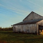 Del-Bourree Bach - Summer in New England 2023 at Susan Powell Fine Art