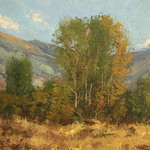 DAVID HARMS - Steamboat Art Museum Plein Air 2020