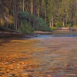 DAVID HARMS - The 2021 Oil Painters of America's Western Regional Exhibition of Traditional Oils