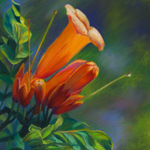 Mary Ann Pals - Painting with Pastels (In-Person)
