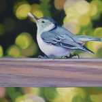 Mary Ann Pals - In-Person Pastel Lessons (Beginner/Int/Adv)