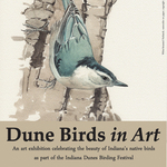 Mary Ann Pals - Dune Birds in Art Exhibit during Indiana Dunes Birding Festival