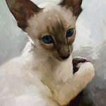 Cary Jurriaans Whidbey Island Fine Art Studio - Jennifer Gennari - Painting the Animal Portrait