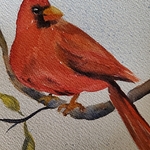 Anne Urso - DeForest Public Library - Cardinal