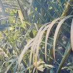 Margueritte Meier - Natura Poetica