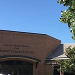 Lisa Prinzo - Henrietta Hankin Library Solo Show